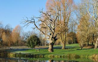Holbury Lane Trout Fishery