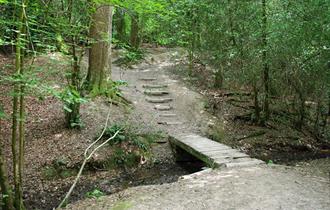 Leechpool Woods