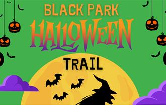 Halloween Trail Banner