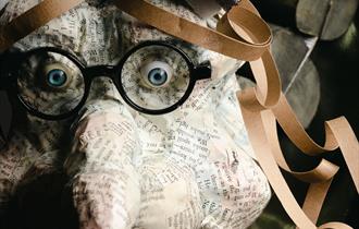 How to Catch a Book Witch