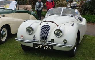 White Jaguar car