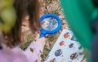 A child looking through a magnifying glass at the ground