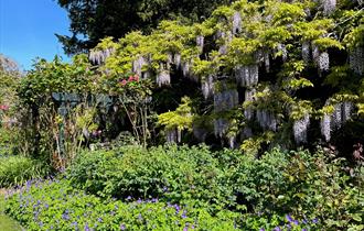 Garden Tour