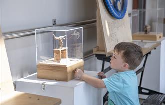 Child playing with exhibition