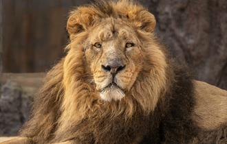 Hertfordshire Zoo