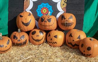 Pumpkin shooting in The New Forest