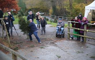 Tree Thower