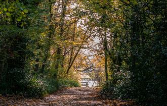 River Hamble Country Park