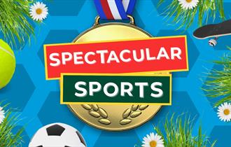 Spectacular Sports Weekend