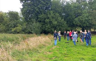 A Guided Walk to see Butterflies