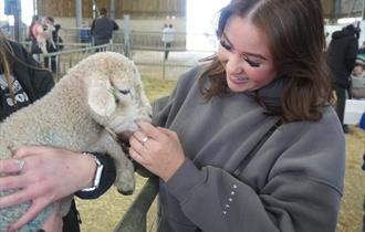 girl_holding_a_lamb