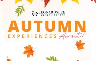 Autumn workshops