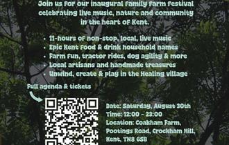 Meri Festival Flyer