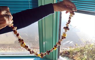 Feed the Birds Workshop