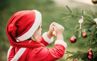 Christmas at Borde Hill