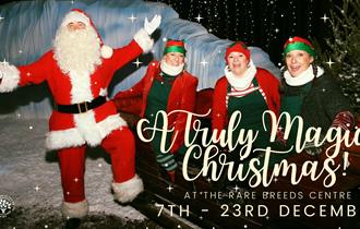 Santa and 2 elves