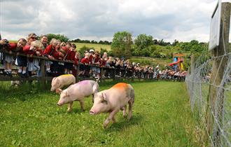 Bocketts Farm