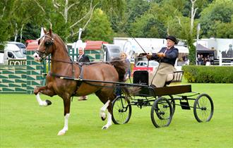 All England Show Jumping Course