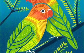 Colourful orange parrot sitting on a blue background