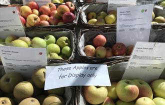 Apple Day at Houghton Lodge Gardens