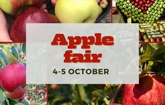 Apple Fair