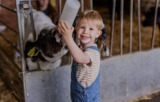 Longdown Activity Farm