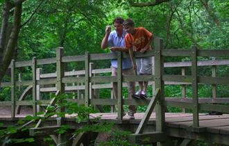 Ashdown Forest Walking Trail