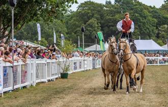 The New Forest and Hampshire County Show