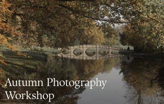 Autumn Photography Workshop at Painshill