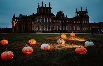 Halloween at Blenheim Palace, Blenheim Palace, Light Trail; Illuminated trail