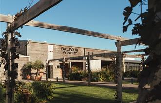 Paint and Sip Workshop at Balfour Winery, Kent