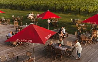 Balfour Winery
