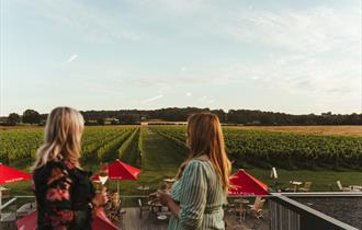 Visitors enjoying a glass of wine overlooking vineyard