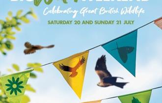 pic of bunting and birds