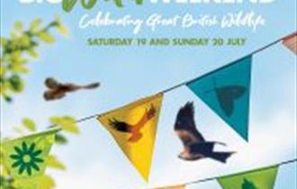 pic of insects on bunting