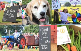 Activities at the Binsted Fete