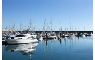 Boats at the Marina