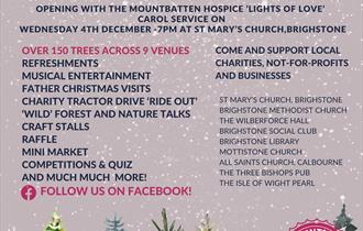 Brighstone Christmas Tree Festival