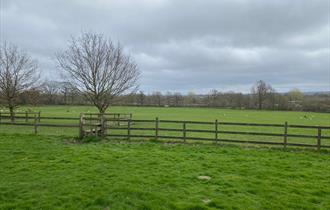Merrist Wood