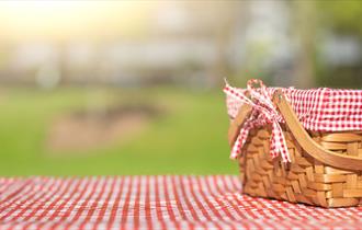 Picnic in the Park for My Pops Rocks, Gosport