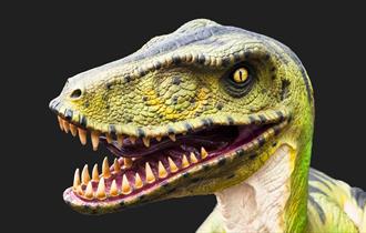 Dinosaur Day, Dover