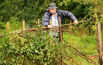 Countryside skills on display at the 2024 CPRE Sussex Countryside Day