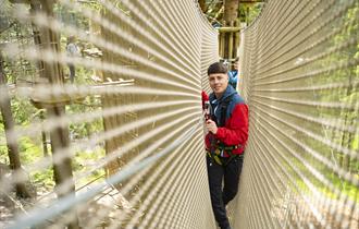 Treetop Challenge