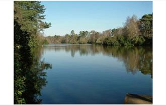 California Country Park