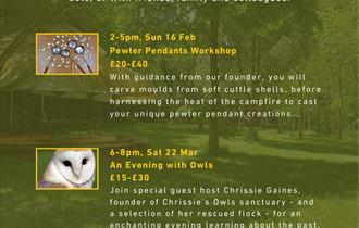 An Evening with Owls