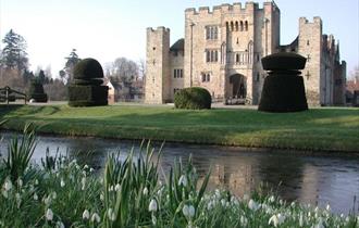Snowdrops at Hever Castle