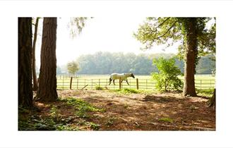 Checkendon Equestrian Centre