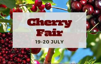 Cherry Fair