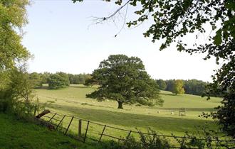 The Chiltern Hills at Great Missenden