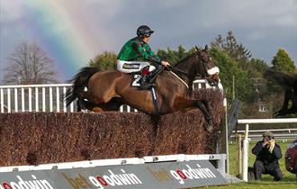 Strong Flavours Catering Raceday at Plumpton Racecourse